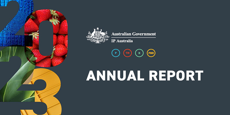 Stylised Annual Report title card image